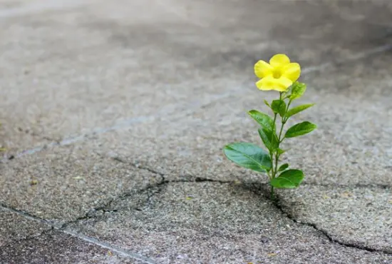 Το ομορφότερο μέρος του κόσμου κρύβεται μέσα μας