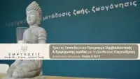 Συνθετική Παιγνιόδραση