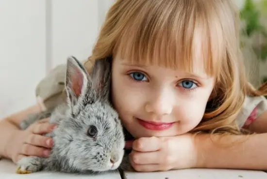 Παιδί μου έχεις Ταλέντο - Ένα εγχειρίδιο καλλιέργειας για γονείς