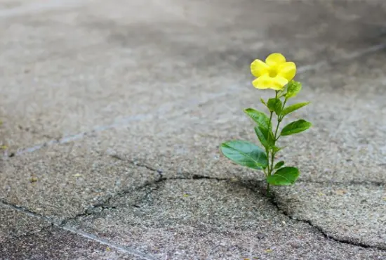 Το ομορφότερο μέρος του κόσμου
