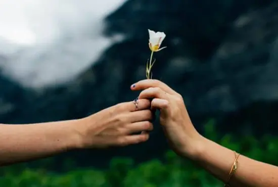 δικαιοσύνη