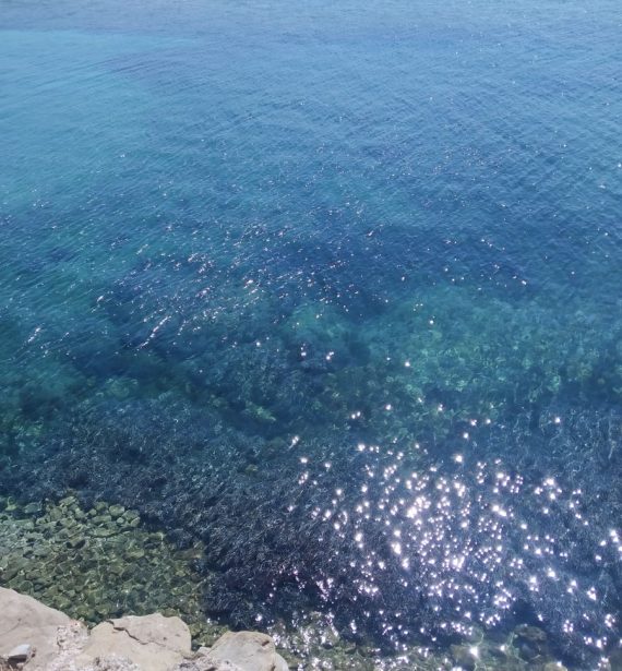 ψυχοθεραπεία